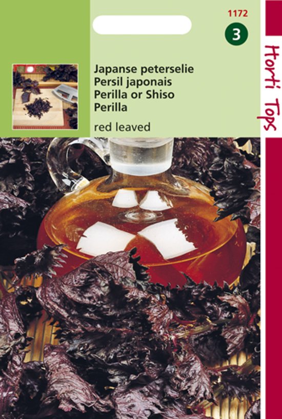 Shiso, Perilla rood (Perilla frutescens) 250 seeds